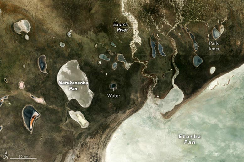 Etosha National Park 2024 Annotated