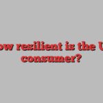 How resilient is the US consumer?