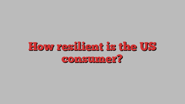 How resilient is the US consumer?