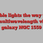 Hubble lights the way with new multiwavelength view of galaxy NGC 1559