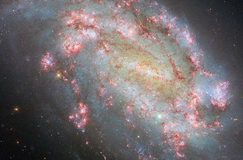 Hubble lights the way with new multiwavelength view of galaxy NGC 1559