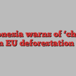 Indonesia warns of ‘chaos’ from EU deforestation law