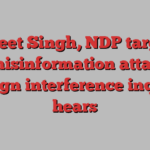 Jagmeet Singh, NDP targeted by misinformation attacks, foreign interference inquiry hears