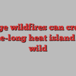 Large wildfires can create decade-long heat island in the wild