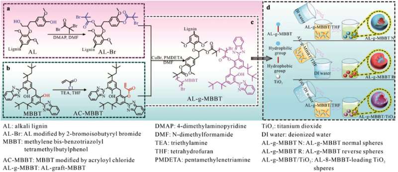 Lignin-based sunscreen offers natural and high-performance UV protection