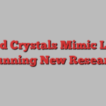 Liquid Crystals Mimic Life in Stunning New Research