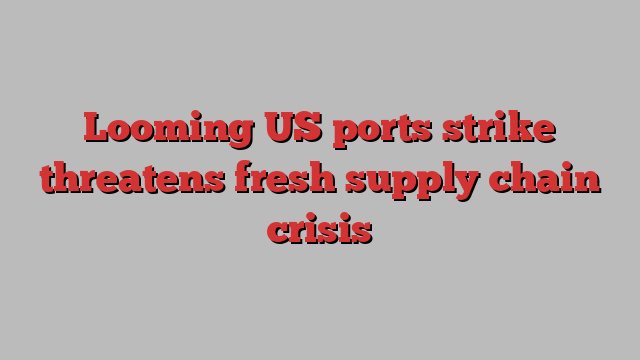 Looming US ports strike threatens fresh supply chain crisis