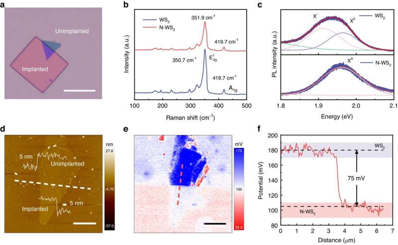 Patterned doping for constructing 2D lateral p-n junction via ion implantation