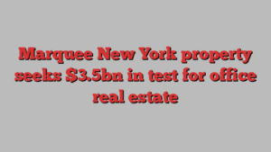 Marquee New York property seeks $3.5bn in test for office real estate