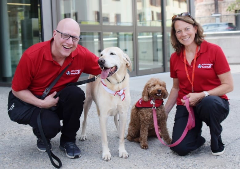 A man and woman pose with their dogs - a yellow lab and a small golden doodle