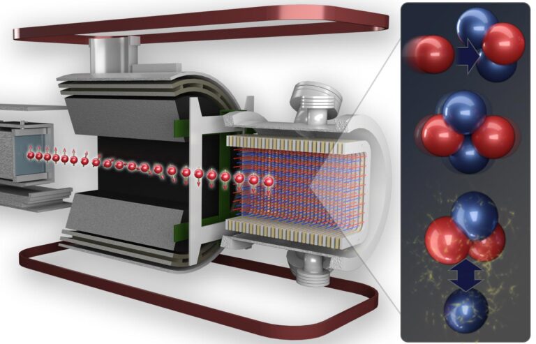 What Is the Weak Nuclear Force?