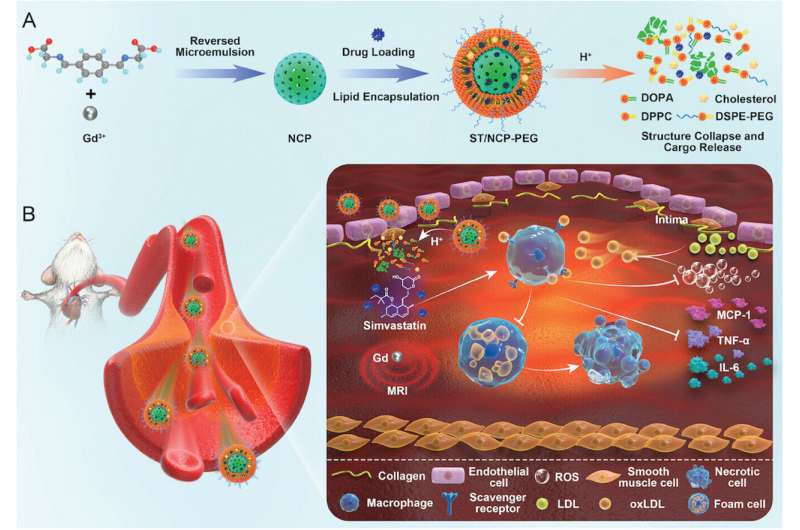 Breakthrough nanoparticle technology for targeted diagnosis and treatment of atherosclerosis