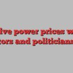 Negative power prices will jolt investors and politicians alike