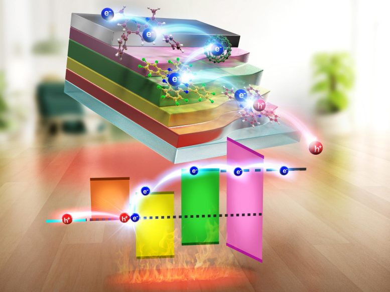 Organic Thermoelectric Device