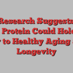 New Research Suggests That This Protein Could Hold the Key to Healthy Aging and Longevity