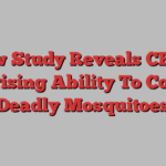 New Study Reveals CBD’s Surprising Ability To Combat Deadly Mosquitoes