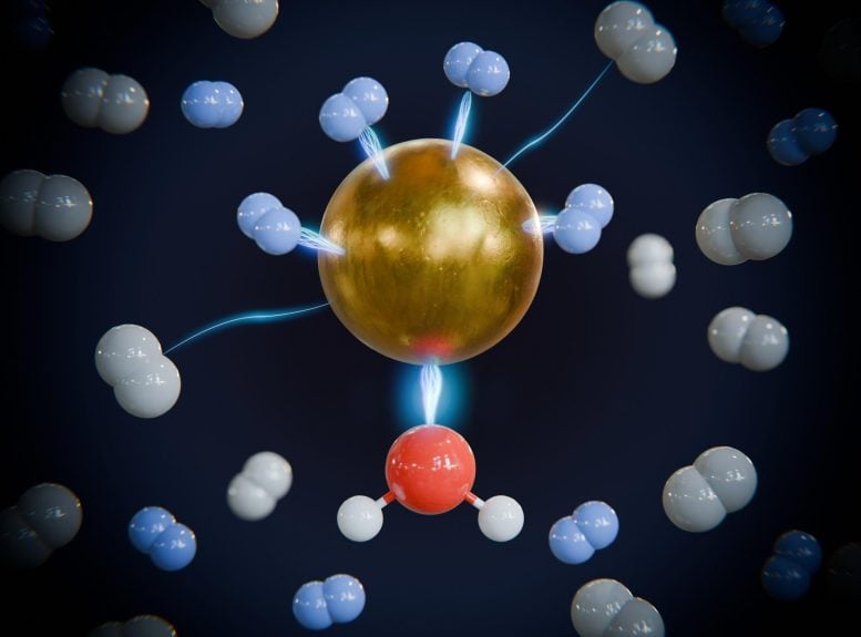 Preferential Binding of Heavy Hydrogen