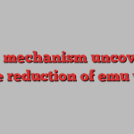 New mechanism uncovered for the reduction of emu wings