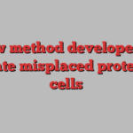 New method developed to relocate misplaced proteins in cells