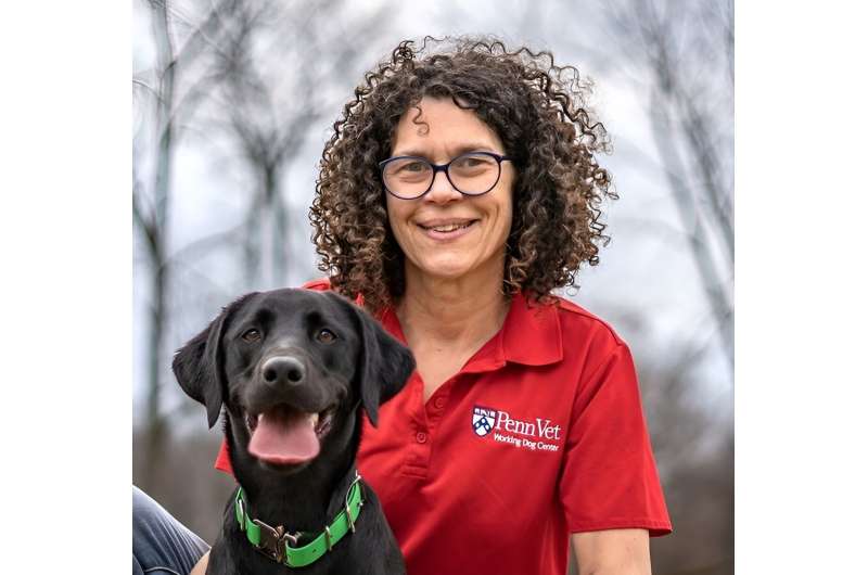 Cooler heads prevail: New research reveals best way to prevent dogs from overheating