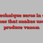 New technique zeros in on the genes that snakes use to produce venom