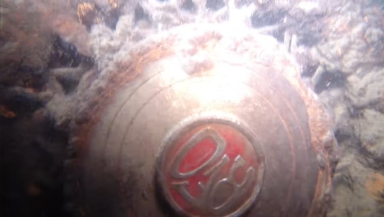 An underwater photo of a hub cap.