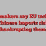 Paint makers say EU tariffs on Chinese imports risk bankrupting them