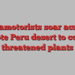 Paramotorists soar across remote Peru desert to collect threatened plants