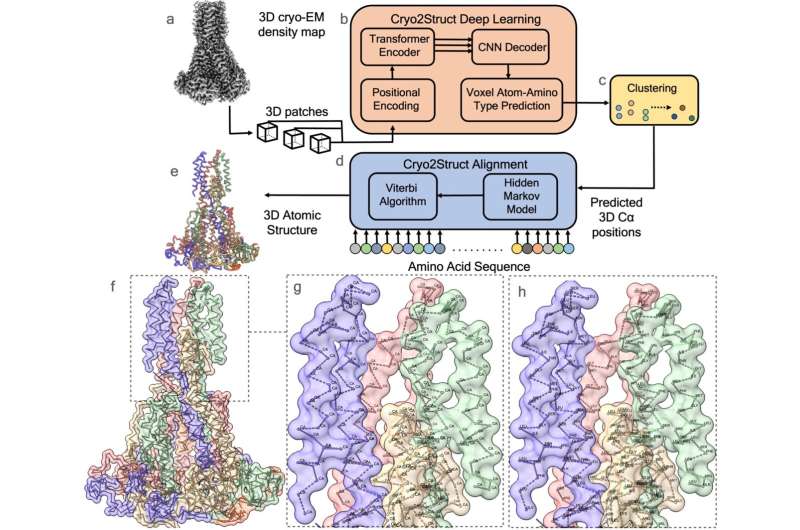 Paving the way for new treatments