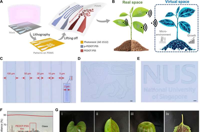 Elevating precision farming using innovative plant e-skin and a digital-twin monitoring system