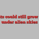 Plants could still grow well under alien skies