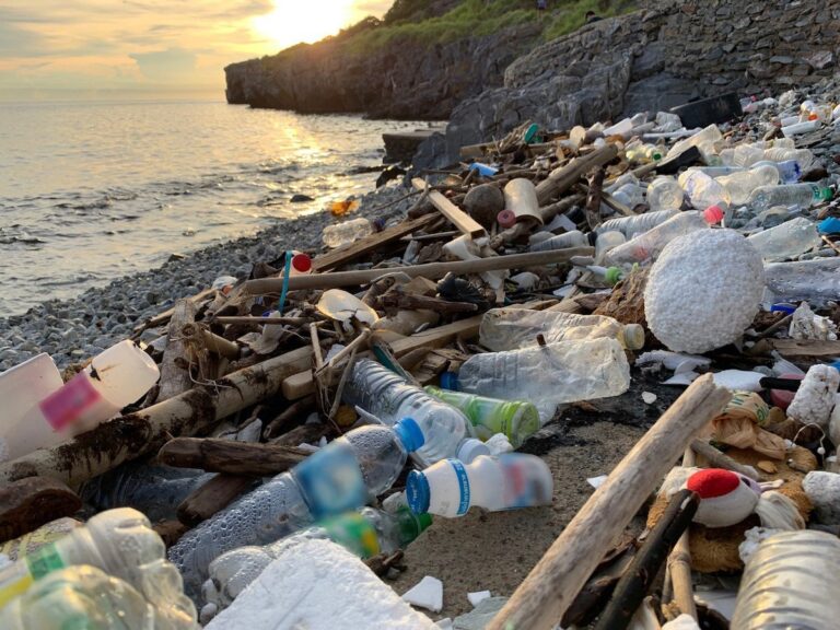 Scientists Unveil Countdown To Save Oceans From Plastic Pollution