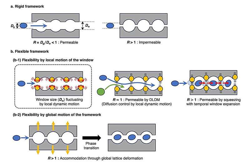 Pioneering gas-adsorbing materials reveal hidden softness