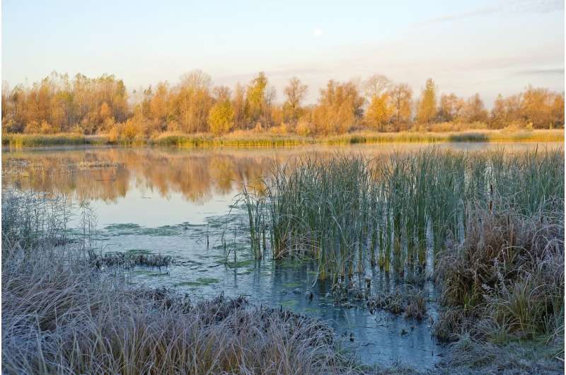 floodplain