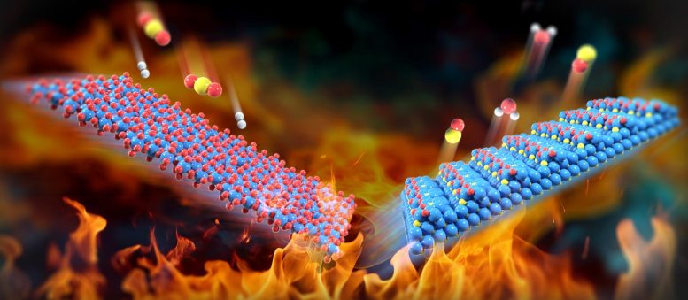 Reaction-Induced Molybdenum Carbides for Efficient Carbon Dioxide Conversion