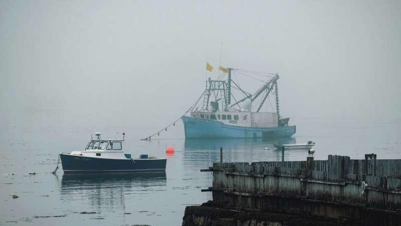 fishing boats mist