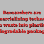 Researchers are commercializing technology to turn waste into plastic-free, biodegradable packaging