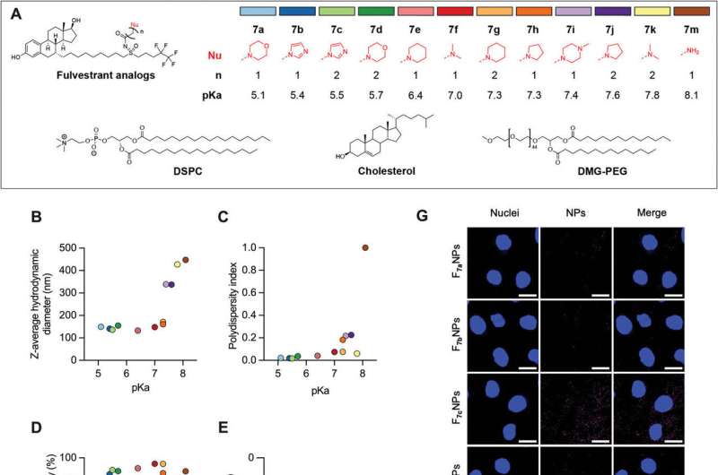 Researchers develop new method for delivering RNA and drugs into cells