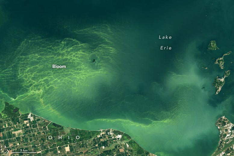 Lake Erie Bloom 2024 Annotated