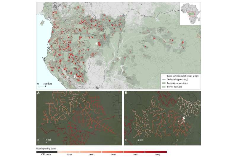 Road networks stretch into Congo Basin forests: Satellites and AI help to monitor