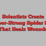 Scientists Create Super-Strong Spider Silk That Heals Wounds