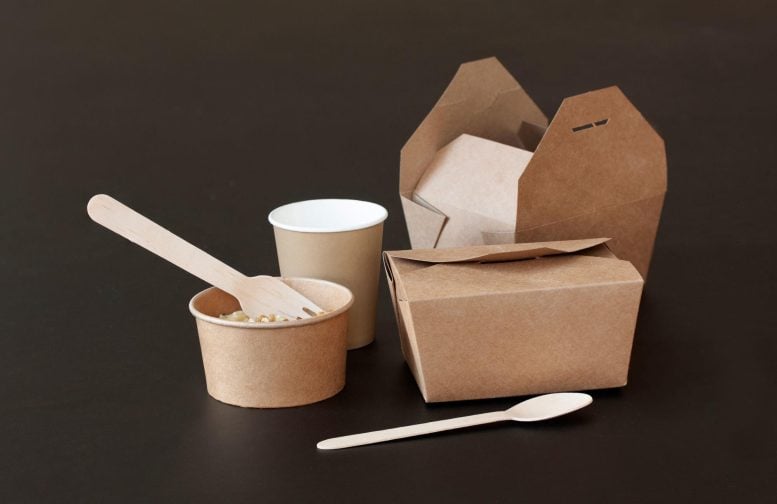 Food Packaging