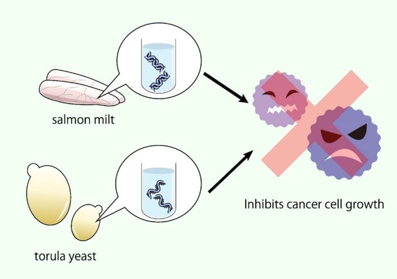 Nucleic Acid Compounds Cancer Infographic