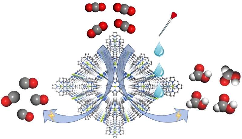 Researchers discover electrolyte composition-dependent CO&#8322 reduction selectivity with an MOF catalyst