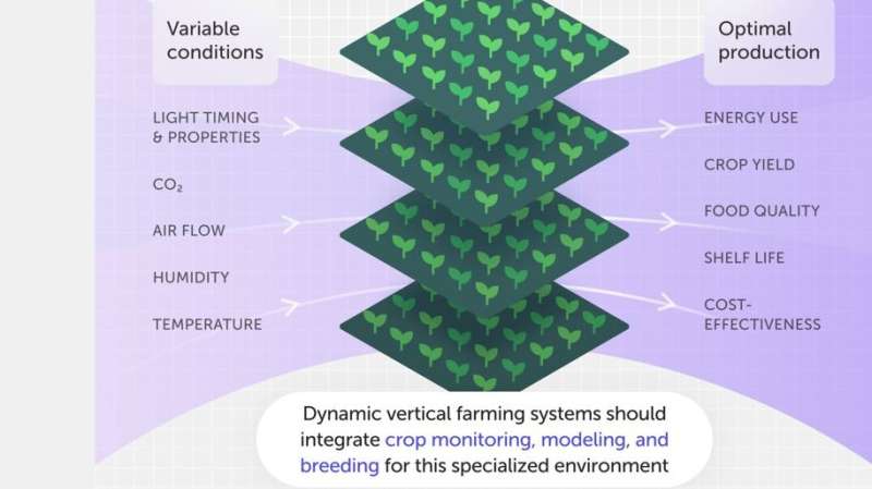 New indoor vertical farming research could help future-proof food demand for a changing planet