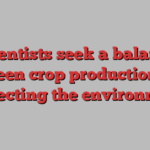 Scientists seek a balance between crop production and protecting the environment