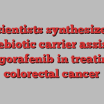 Scientists synthesize a prebiotic carrier assists regorafenib in treating colorectal cancer