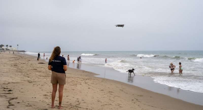 Scientists use drones to track white sharks along California beaches