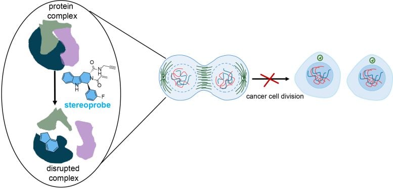 Chemopproteomic Method Cancer Growth