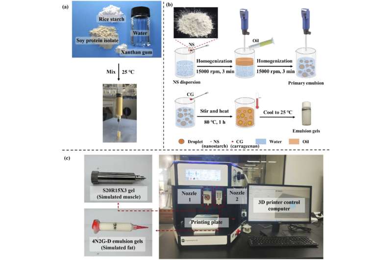 Simulated construction of plant-based fish meat with composite structure via 3D printing